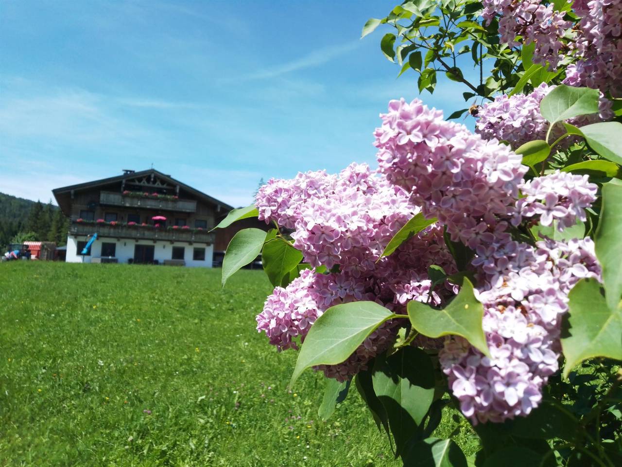Zimmer "Hühnernest", foto 14