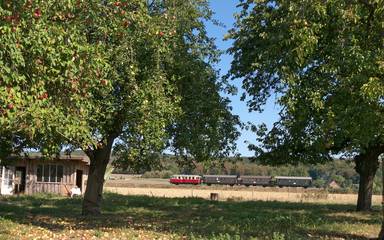 Ferienhaus für 4 Personen in Lienen, Münsterland, Bild 3