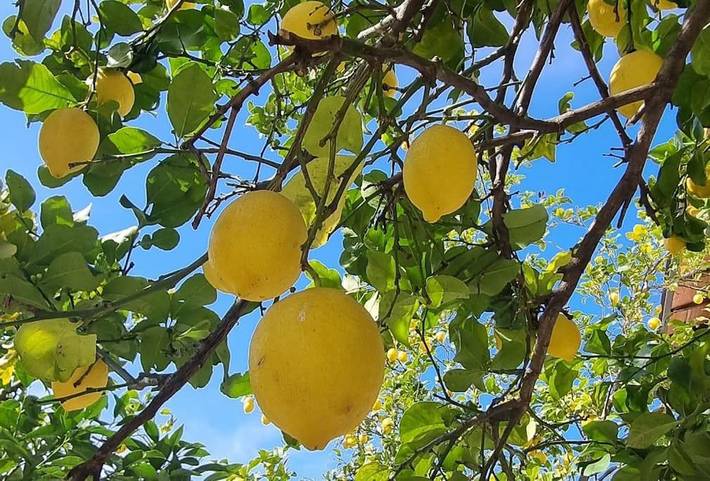 Appartamento per 2 persone, con Giardino e Panorama a Ameglia