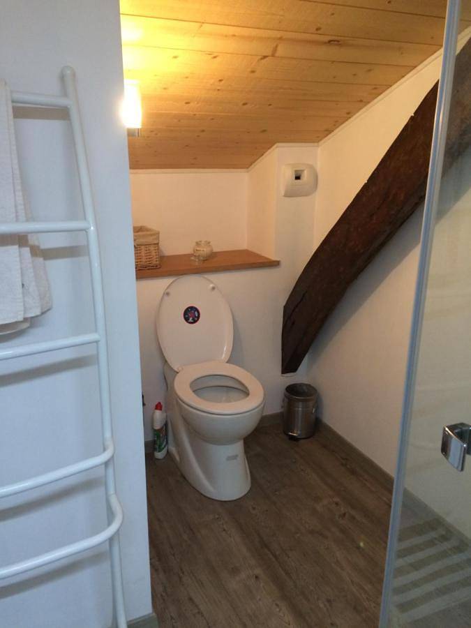 Gîte pour 3 personnes, avec jardin et piscine à Saint-Sylvestre-sur-Lot - 4