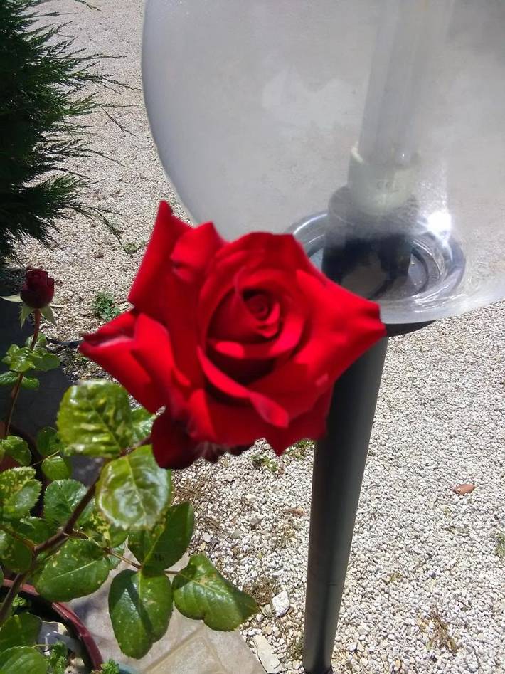 Ferienwohnung für 2 Personen, mit Garten - 1
