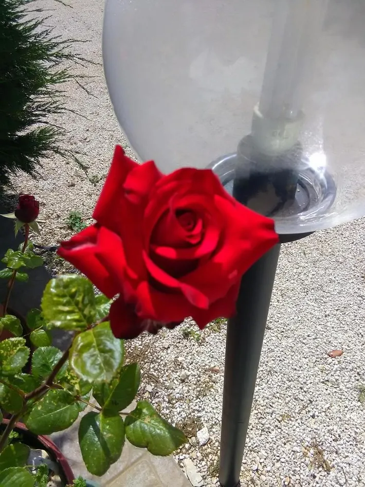 Ferienwohnung für 2 Personen, mit Garten - 1