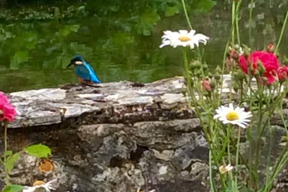 Le Moulin de Cosset se rejoint de vous inviter a un séjour exceptionnel in Queyssac, Périgord Pourpre
