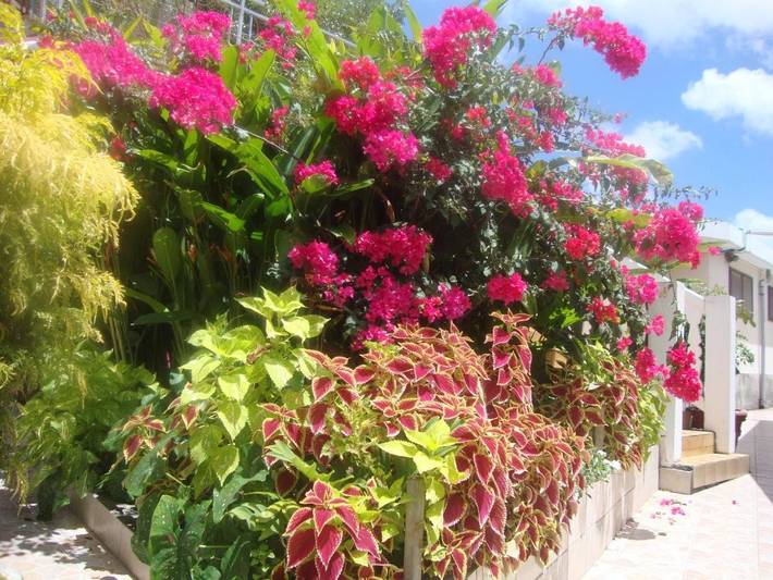 Location de vacances pour 2 personnes, avec jardin et vue, animaux acceptés dans Port-Louis Guadeloupe
