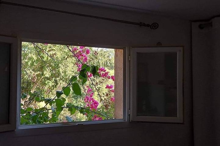 Gîte pour 2 personnes, avec jardin à Afa - 4