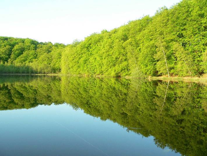 Bungalow für 2 Personen, mit Terrasse auf Rügen - 4