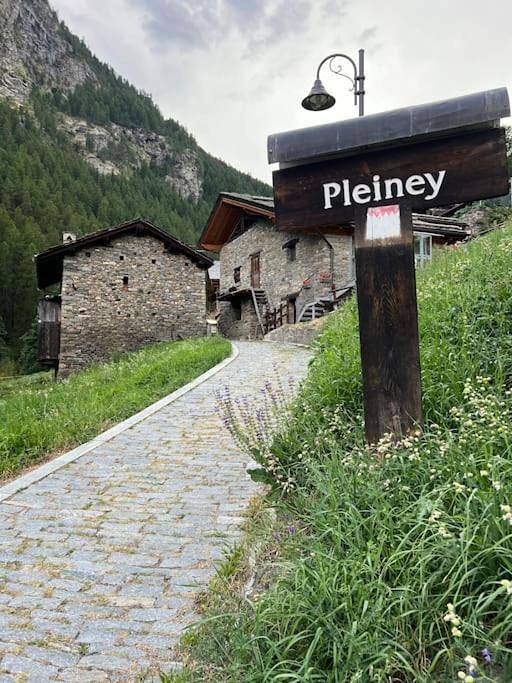 Grandze du Pleiney in Pleiney, Comune di Saint-Rhémy-en-Bosses