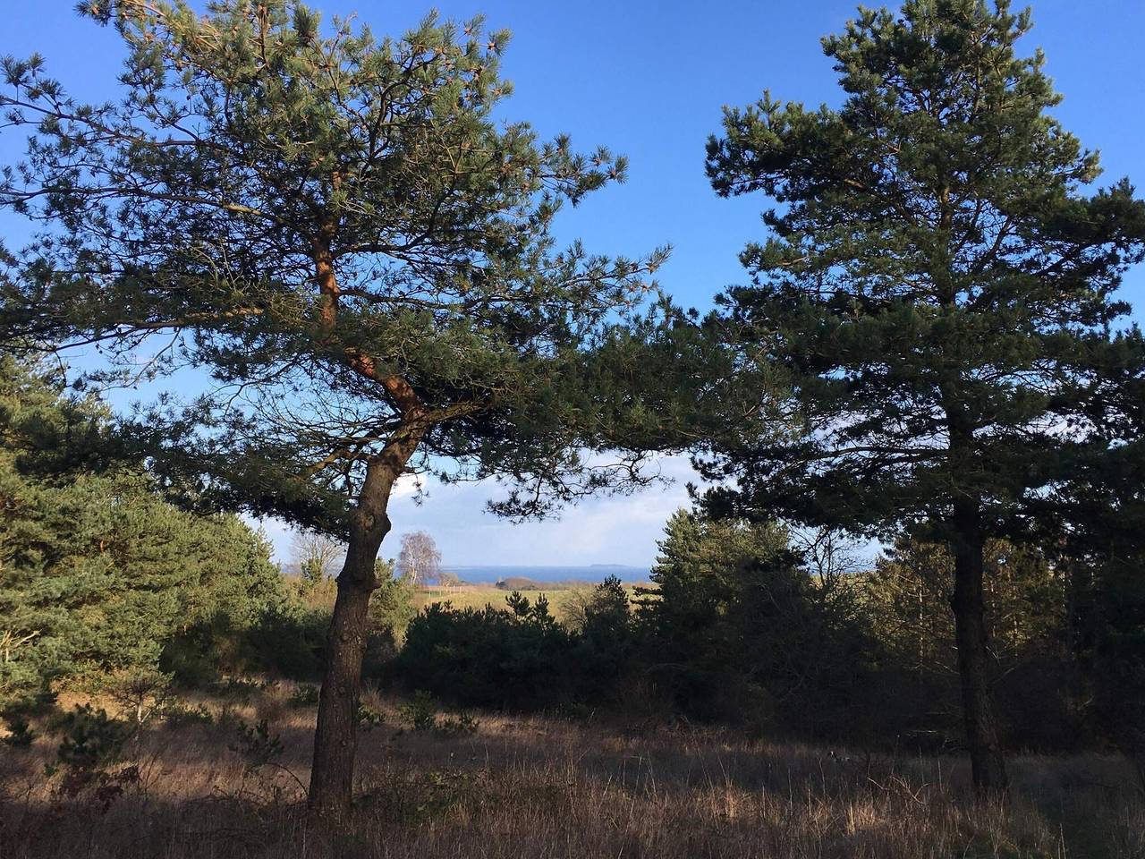 Meeresflucht in Helgenaes -- By Traum Ferienwohnungen in Knebel, Süddjursland