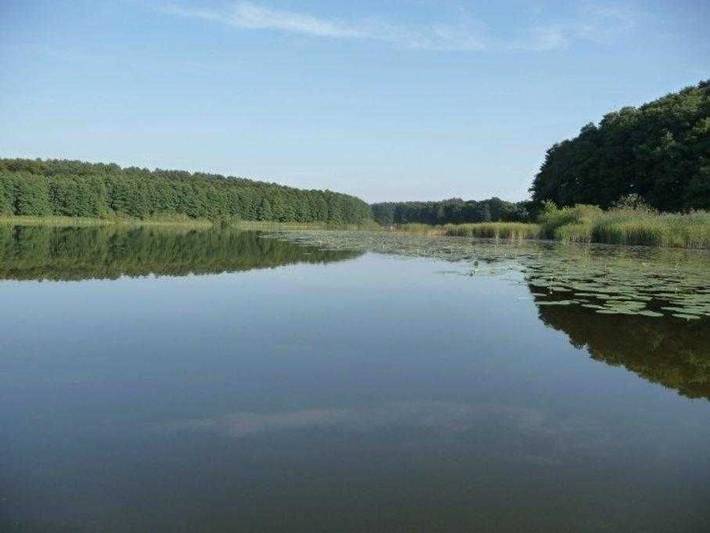 Ferienhaus für 4 Personen, mit Terrasse und Garten sowie Seeblick in Mecklenburg-Strelitz - 4