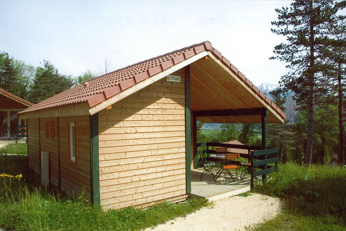Gentiane in Cordéac, Isère