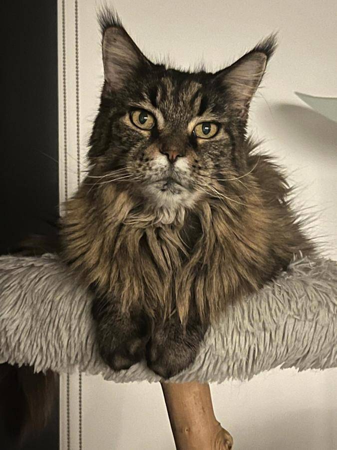 Location de vacances pour 2 personnes, avec jacuzzi et terrasse à Rosheim - 4