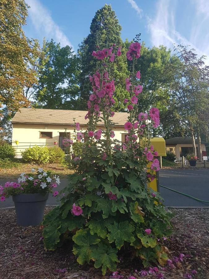 Camping pour 7 personnes, avec piscine ainsi que jardin et vue dans Indre