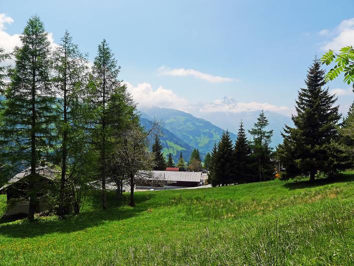 Appartement entier, Les Beluardes in Gryon, Alpes Vaudoises