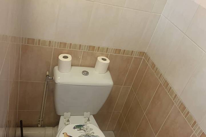 Gîte pour 4 personnes, animaux acceptés à Ozoir-la-Ferrière - 4