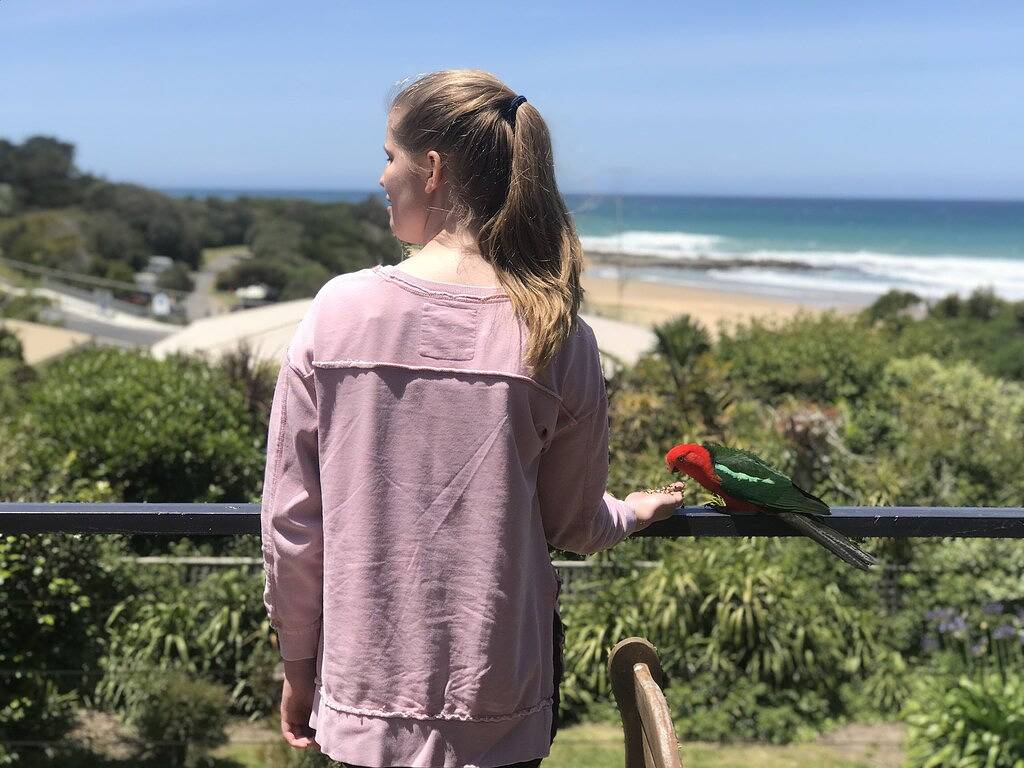 Uringa in Skenes Creek in Skenes Creek, Colac Otway Shire