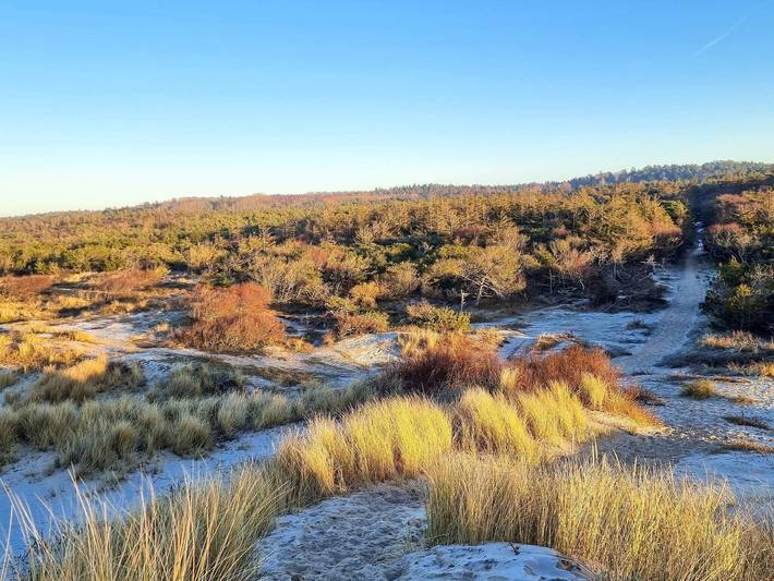 Ferienhaus für 6 Personen, mit Garten, kinderfreundlich in Tisvilde - 4