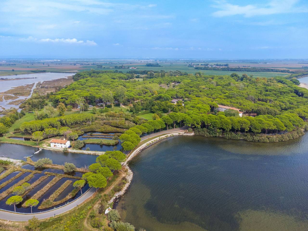 Grado 653 - Gelso (gdo 202) 653.4 in Aquileia, Provincia d'Udine
