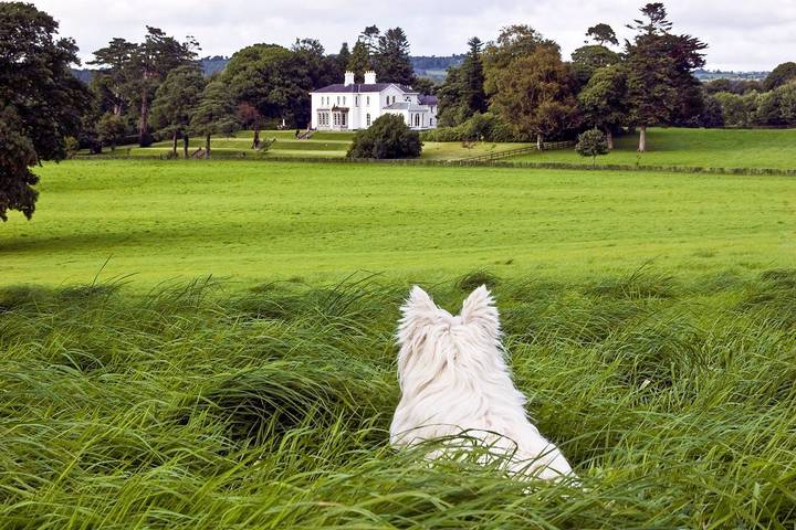 Ferienhaus für 14 Personen, mit Garten in Killarney - 4