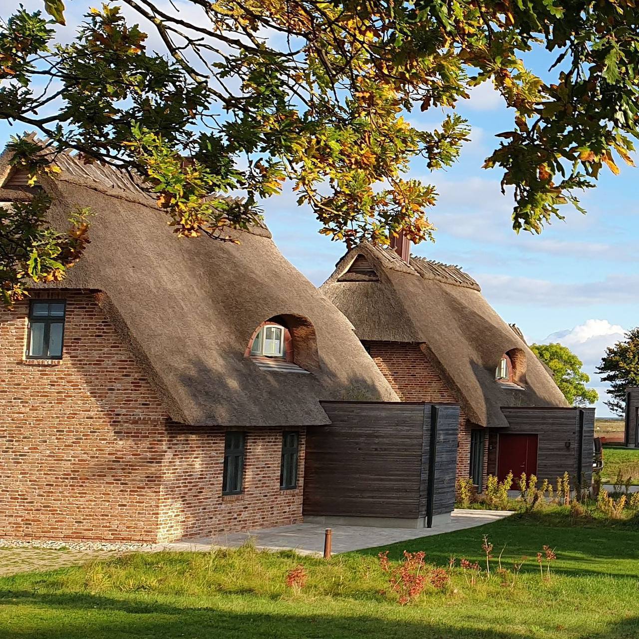 Malerhaus Wollgras, das Reetdoppelhaus für 4-5 Personen mit schönem Birkblick. in Geltinger Birk, Nieby
