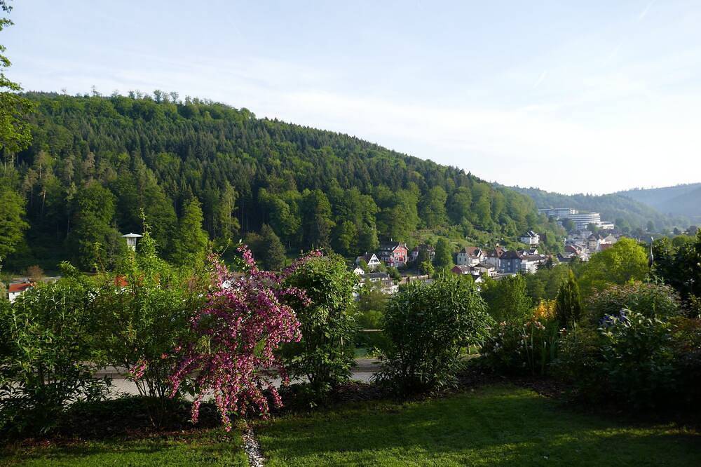 Ganze Wohnung, Nicht Zuhause und doch Daheim in Bad Herrenalb, Nordschwarzwald