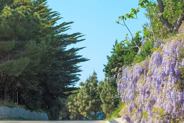 Villa pour 8 personnes, avec jardin à l' Ile d'Elbe - 4