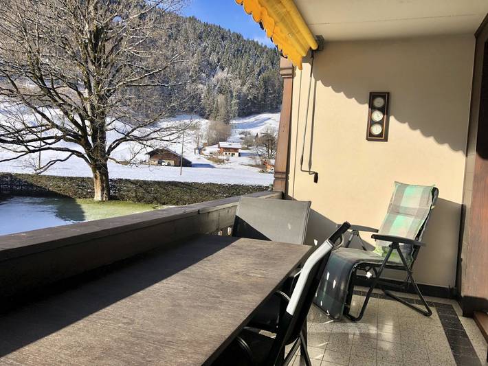 Ganze Wohnung, Oberland Nr. 29 in Gstaad, Saanen