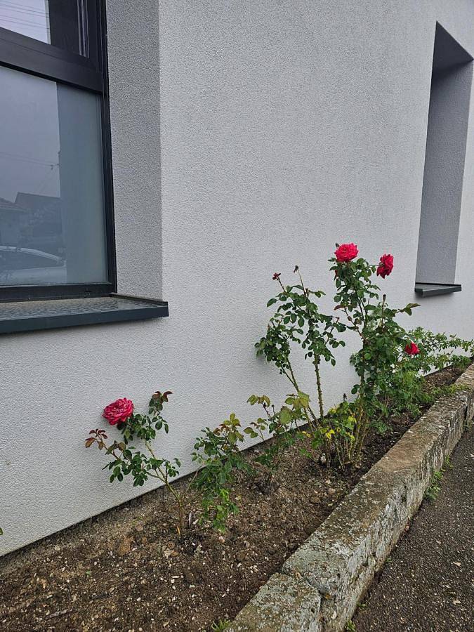 Location de vacances pour 11 personnes, avec terrasse à Sainte-Croix-en-Plaine - 3