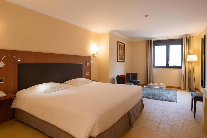 Hôtel pour 2 personnes, avec bassin pour enfant et piscine ainsi que sauna et jardin, animaux acceptés à Vonnas - 4