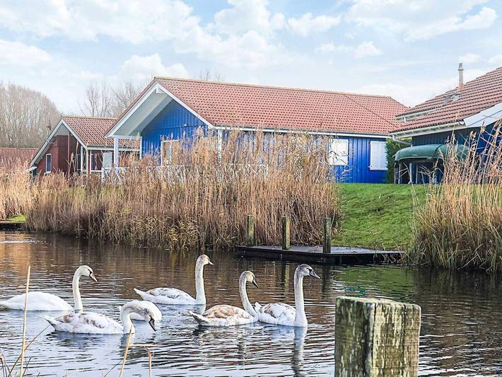 Ferienhaus für 10 Personen, mit Terrasse und Whirlpool sowie Kinderpool und Pool in Drochtersen - 3