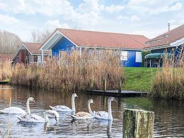 Ferienhaus für 10 Personen in Otterndorf, Cuxland, Bild 2