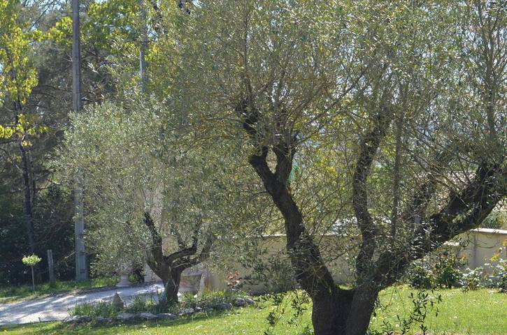 Chambre d’hôte pour 4 personnes, avec piscine ainsi que jardin et vue dans le Lot-et-Garonne - 3