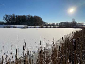 Ferienhaus für 6 Personen in Göhren-Lebbin, Fleesensee, Bild 1