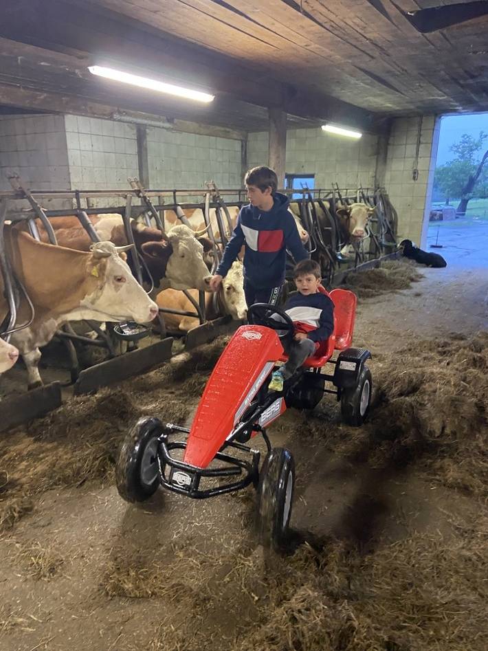 Ferienhaus für 3 Personen, mit Garten und Balkon in Traunstein - 3