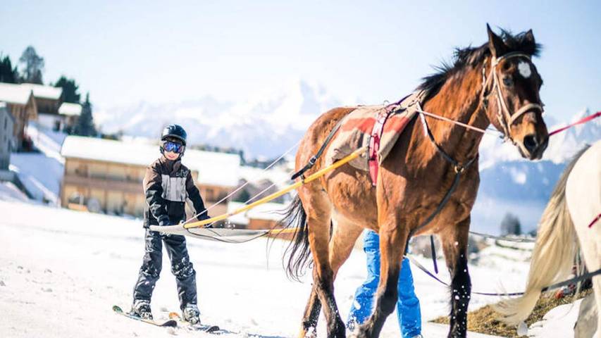 Appartement de vacances pour 5 personnes, avec terrasse, animaux acceptés