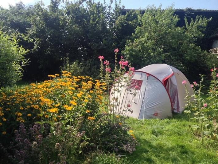 Ferienhaus für 4 Personen, mit Terrasse und Garten sowie Pool und Sauna in Jerichow - 4