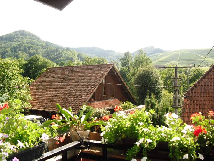 Ganze Ferienwohnung, Ferienwohnung Barbara Laible - Ferienwohnung mit Terrasse 65qm, 1 Schlafzimmer für 2-4 Personen in Durbach, Mittlerer Schwarzwald