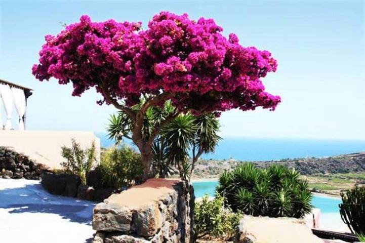 Residence Venus Dream in Pantelleria, Trapani Province