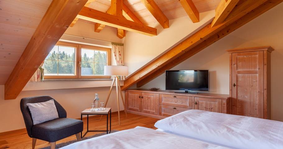 Ferienhaus für 4 Personen, mit Haustier in Landkreis Lindau - 2