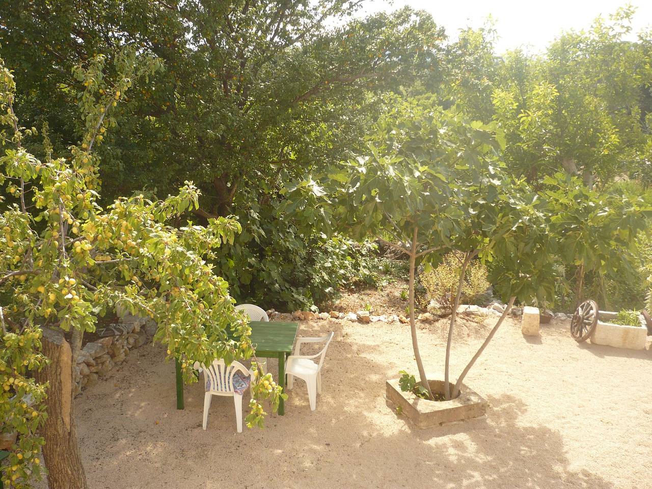 House Dragica in Cres Stadt, Cres