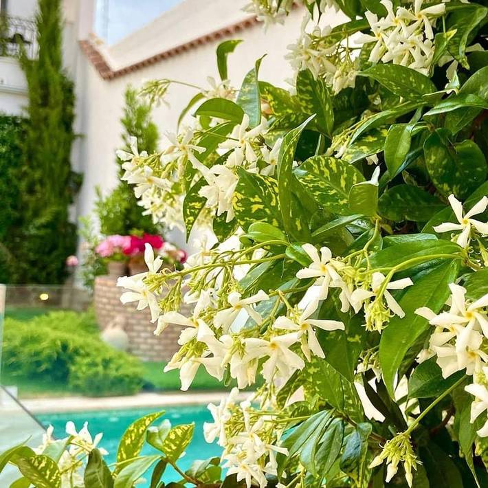 Casa rural para 2 personas, con jardín y piscina, Familias con niños en Provincia de Toledo - 2