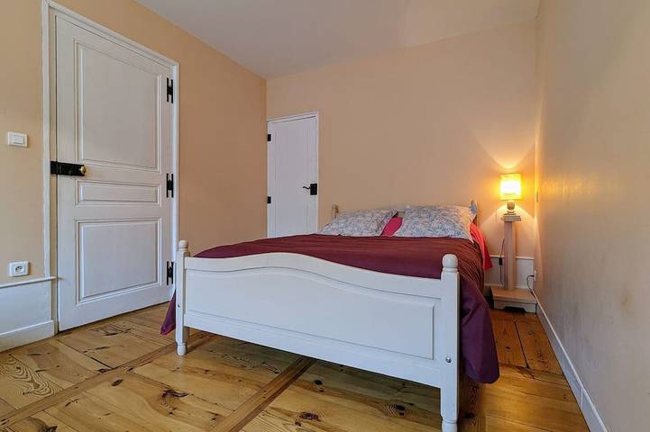 Apartamento entero, Amplio y Luminoso Apartamento Haussmaniano en el Corazón de Le Puy-en-Velay in Le Puy-en-Velay, Alto Loira