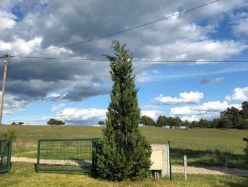 Ferienhaus für 3 Personen in Lychen, Uckermark, Bild 4