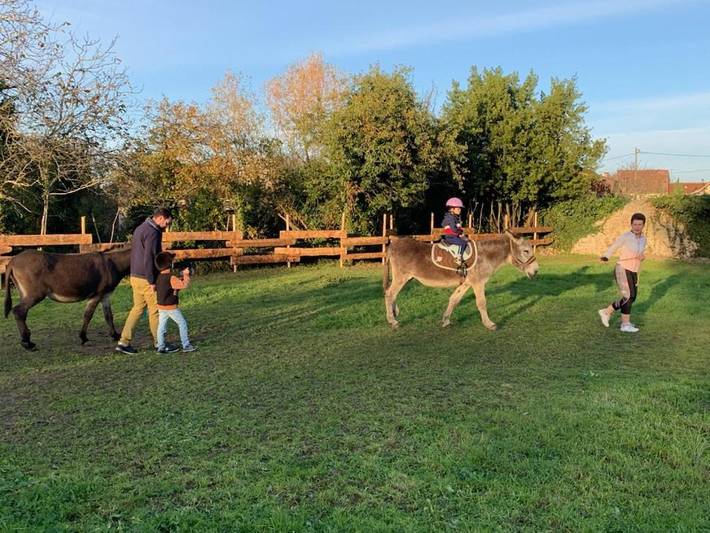 Tente pour 4 personnes, avec vue et piscine ainsi que terrasse et jardin, animaux acceptés dans Auvergne-Rhône-Alpes - 4