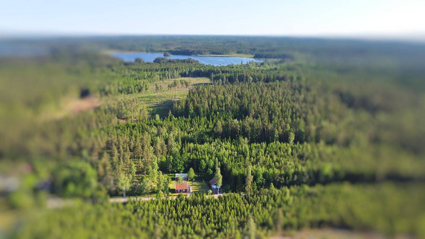 Hus Jorgentorp – Urlaub mit Hund mitten im Wald von Småland in Emmaboda, Emmaboda und Umgebung