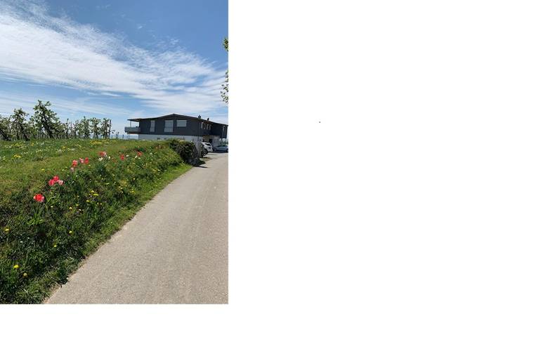 Ferienhaus für 4 Personen, mit Garten und Terrasse am Bodensee