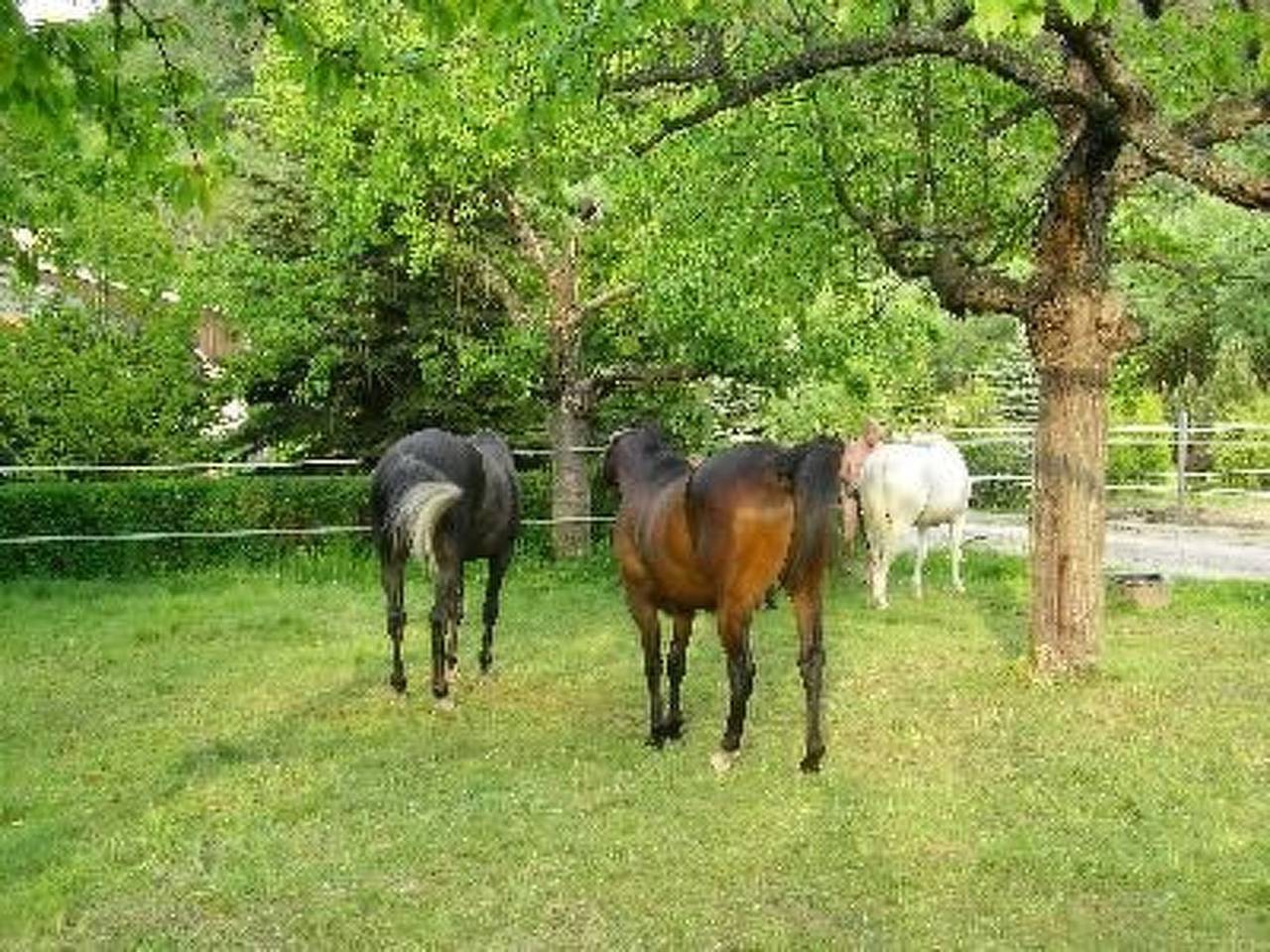 Silberbach Ii in Wienrode, Blankenburg