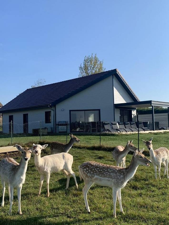 Gîte pour 6 personnes, avec Jacuzzi et Terrasse ainsi que Jardin et Vue dans La Ferté