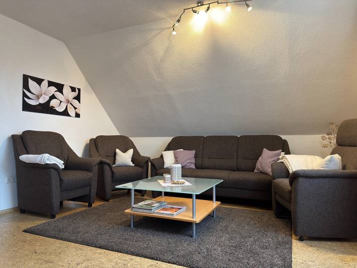 Ferienhaus für 16 Personen, mit Terrasse und Garten, mit Haustier im Sauerland - 4