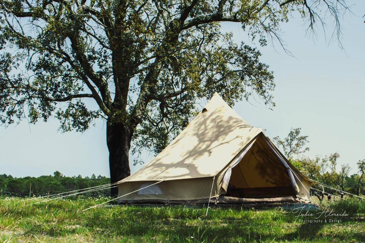 Direction South in Montargil, Portalegre Distrikt