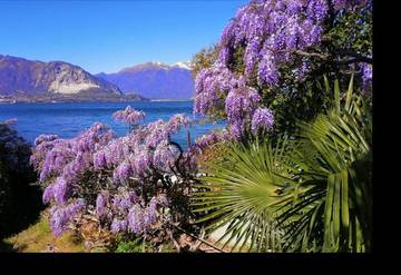 Gîte pour 3 personnes, avec balcon et vue dans Verbania